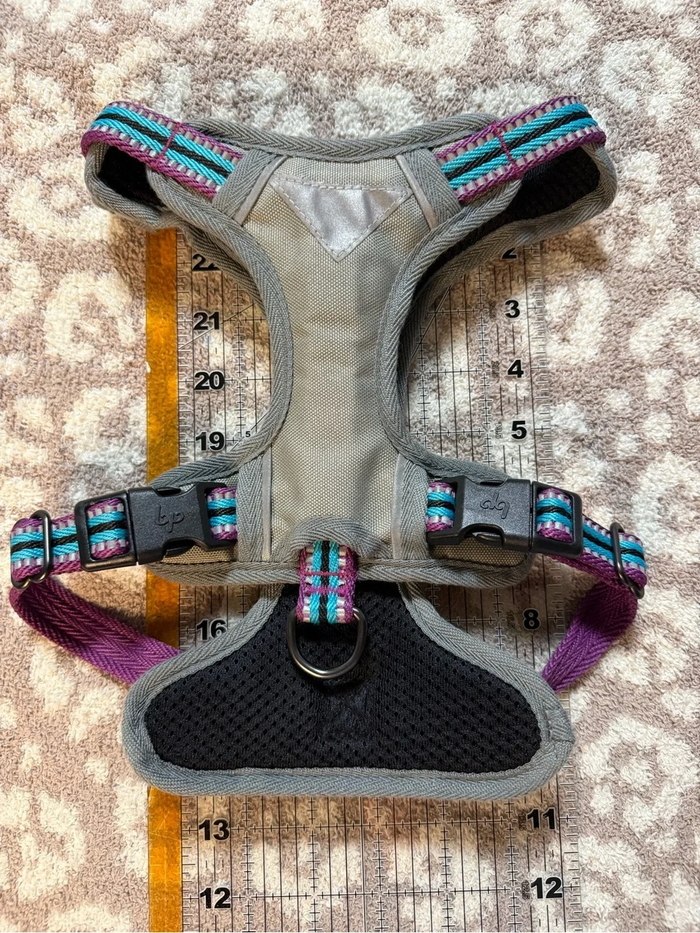 Grey Harness with Purplew & Teal Accents